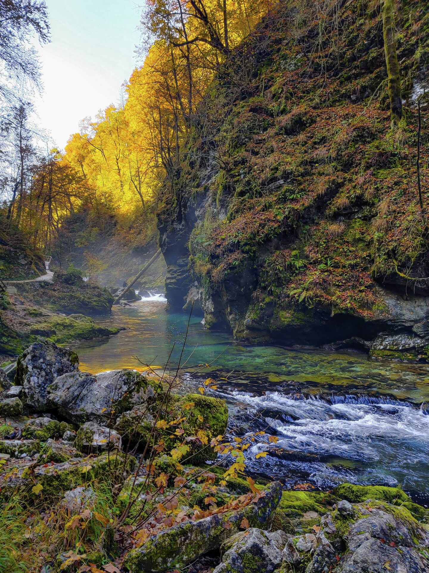 Stream in a colourful forest