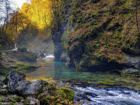 Stream in a colourful forest