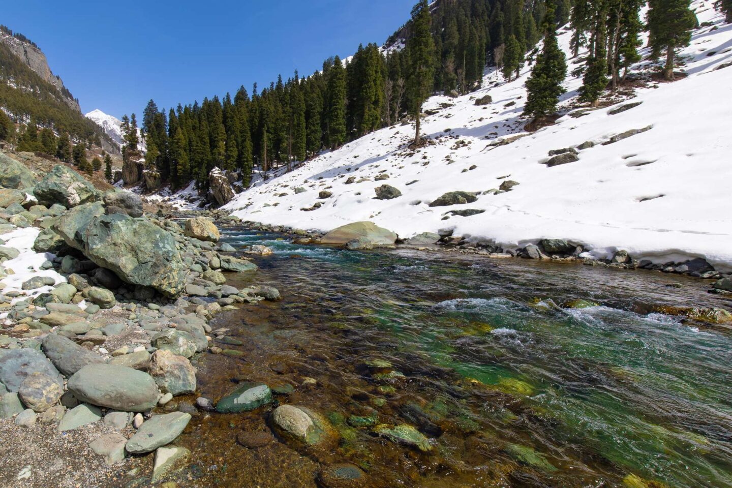 Mountain snow river memento mori