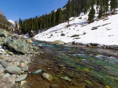 Mountain snow river memento mori