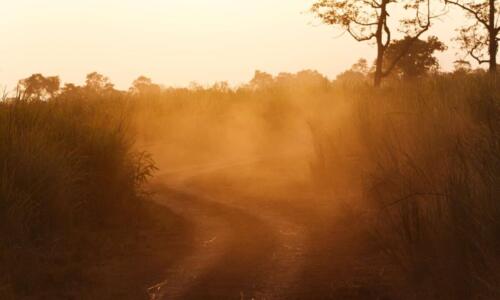 Dust in the wind